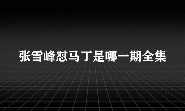 张雪峰怼马丁是哪一期全集