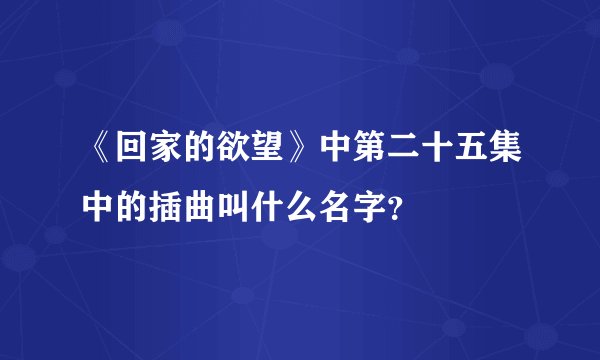 《回家的欲望》中第二十五集中的插曲叫什么名字？