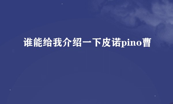 谁能给我介绍一下皮诺pino曹