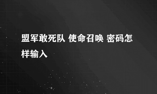 盟军敢死队 使命召唤 密码怎样输入