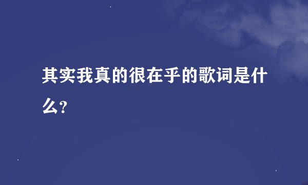 其实我真的很在乎的歌词是什么？