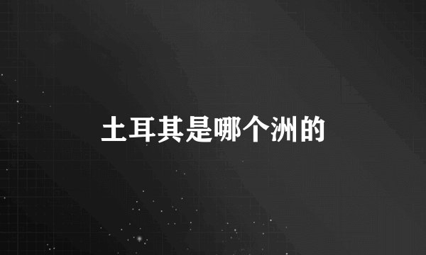 土耳其是哪个洲的