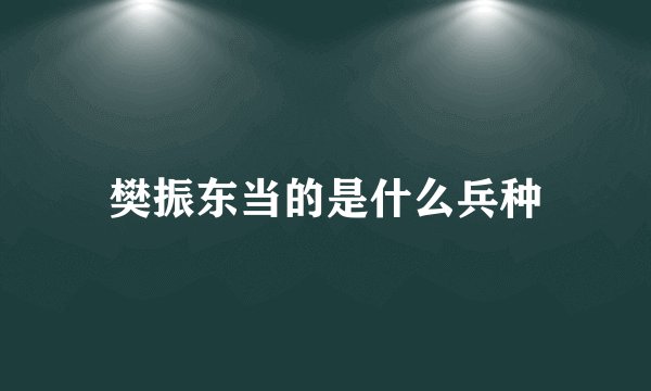 樊振东当的是什么兵种