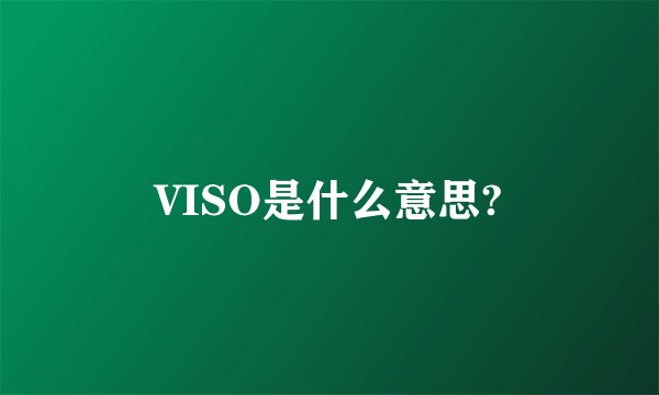 VISO是什么意思?