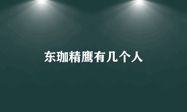 东珈精鹰有几个人