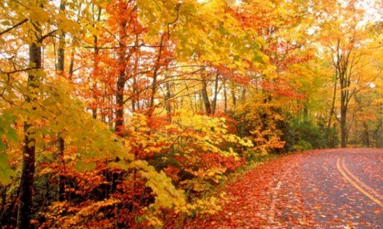 8月7日立秋是几点