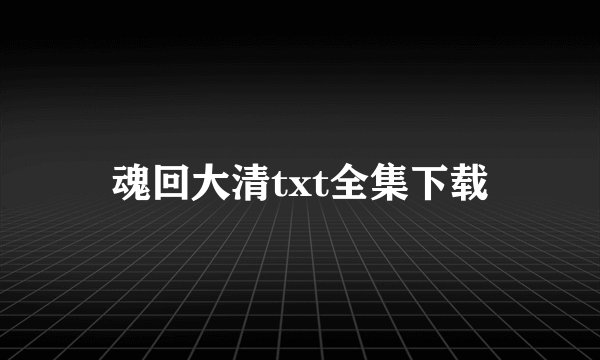 魂回大清txt全集下载