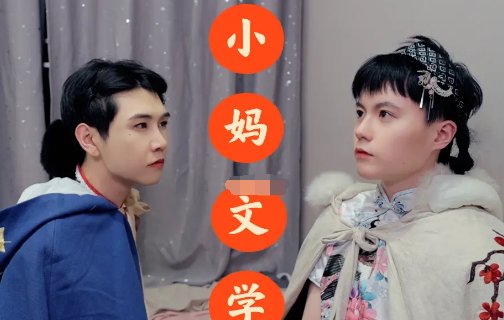 小妈文学是什么意思