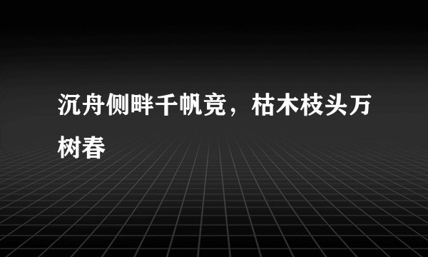沉舟侧畔千帆竞，枯木枝头万树春