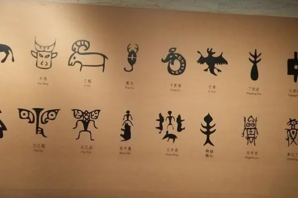 坦字拼音