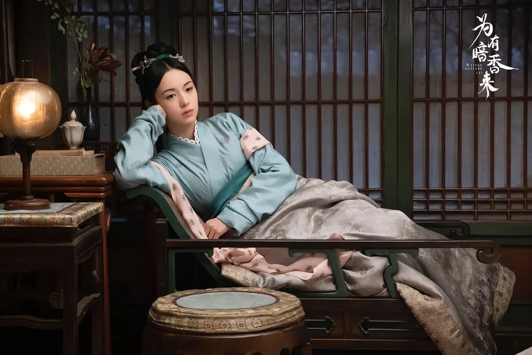 为有暗香来剧情简介