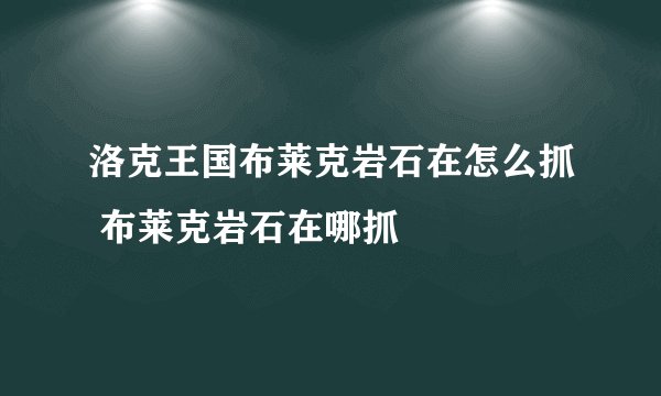 洛克王国布莱克岩石在怎么抓 布莱克岩石在哪抓