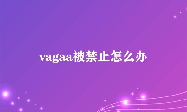 vagaa被禁止怎么办