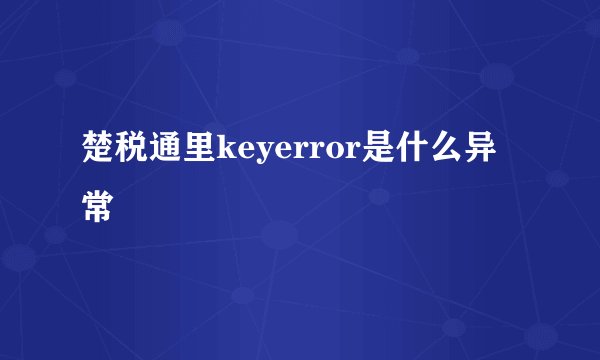 楚税通里keyerror是什么异常