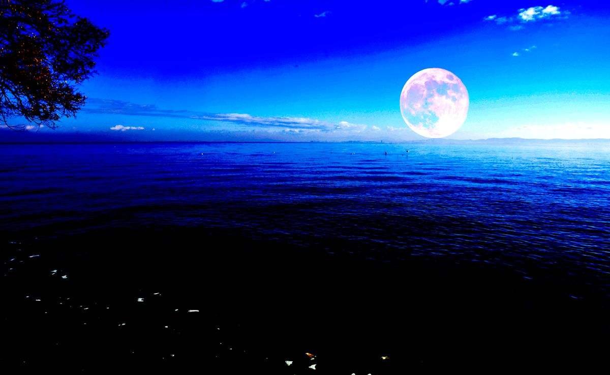 月是故乡明的上一句是什么？