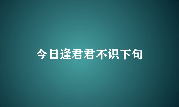 今日逢君君不识下句