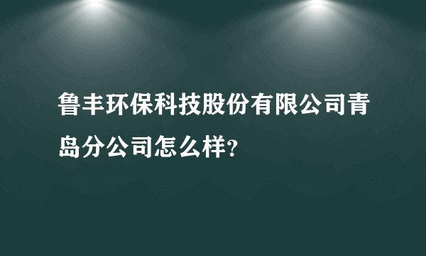 鲁丰环保科技股份有限公司青岛分公司怎么样？