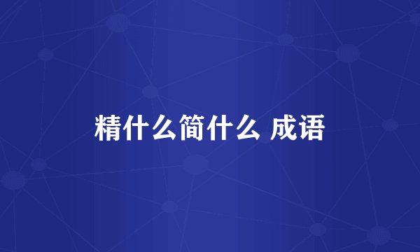 精什么简什么 成语