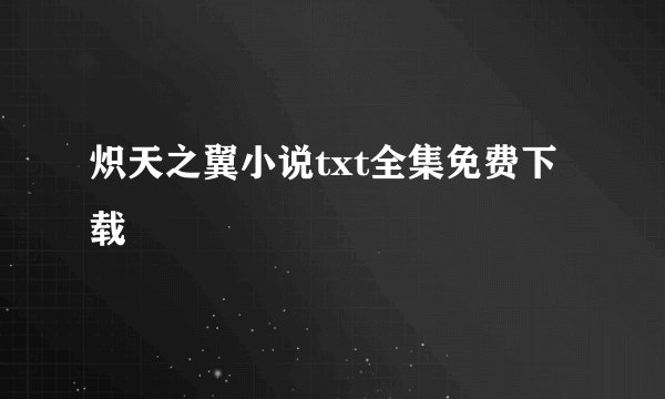 炽天之翼小说txt全集免费下载
