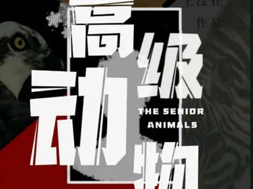 窦唯经典10首