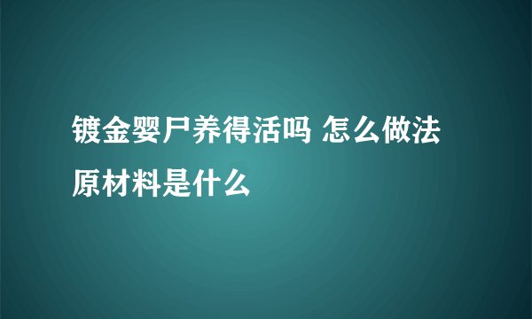镀金婴尸养得活吗 怎么做法原材料是什么