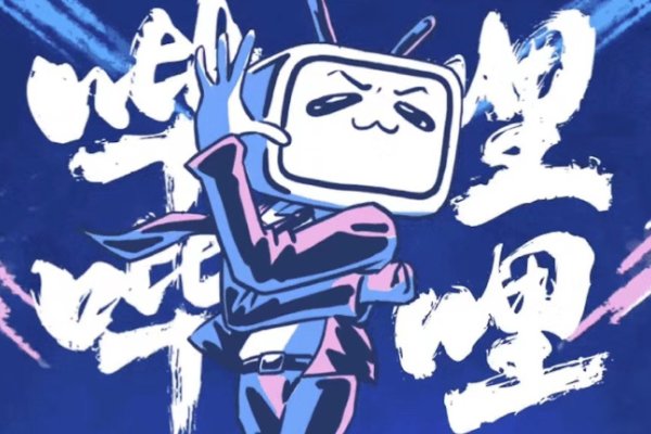 b站小会员什么意思