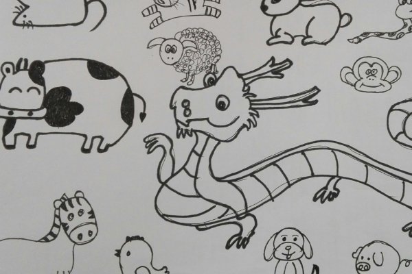 走火入魔打一正确生肖