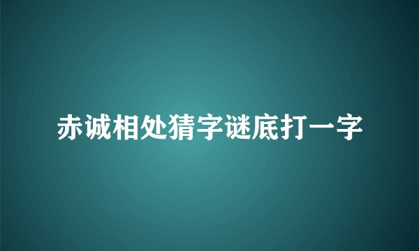 赤诚相处猜字谜底打一字