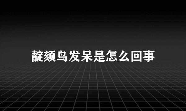 靛颏鸟发呆是怎么回事