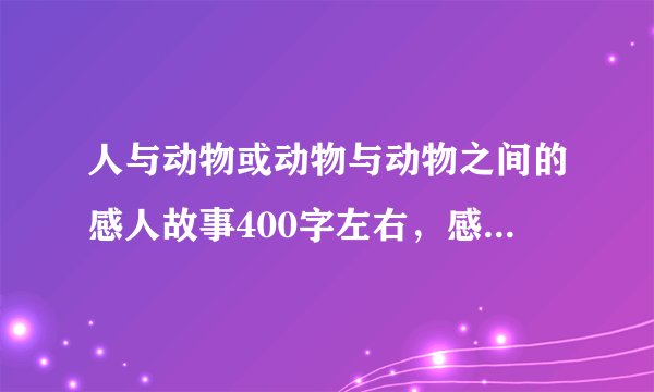 人与动物或动物与动物之间的感人故事400字左右,感受200字左右