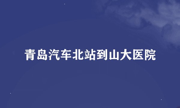 青岛汽车北站到山大医院
