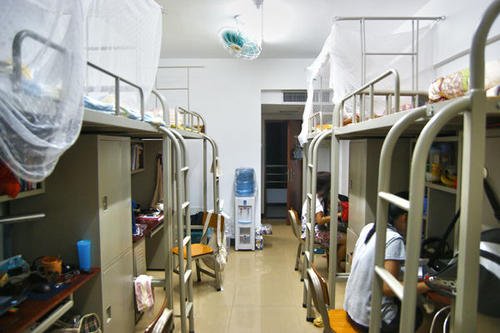 41.63万大学生留校过春节，和校友一起过年会有什么不一样的？