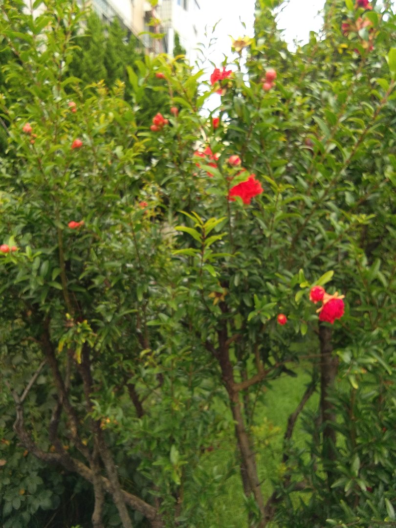 为什么人总是喜欢在睡前幻想一些东西？