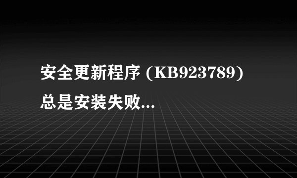 安全更新程序 (KB923789)  总是安装失败 怎么能装上