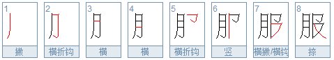 服的笔顺怎么写
