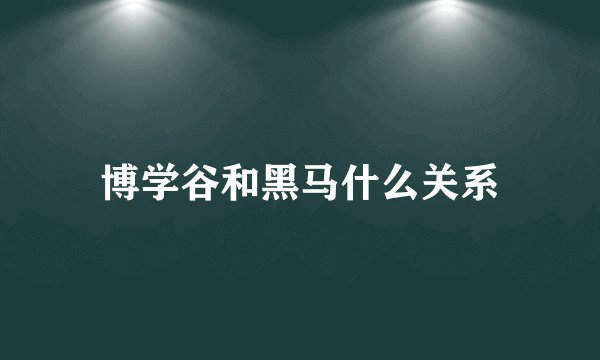 博学谷和黑马什么关系