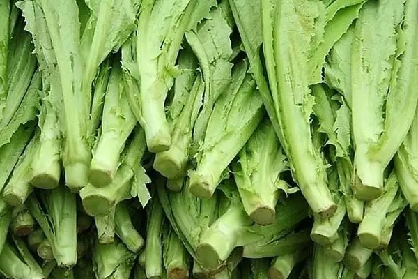 油麦网络语言什么意思