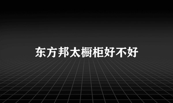 东方邦太橱柜好不好