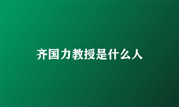 齐国力教授是什么人