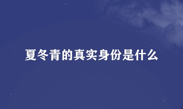 夏冬青的真实身份是什么