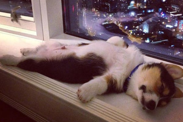 乏怎么读音