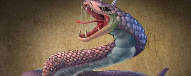 什么蛇可以吃大象