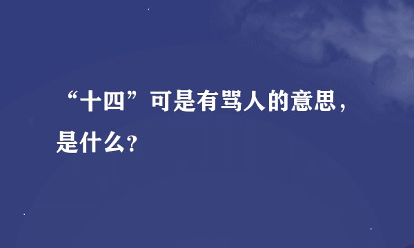 “十四”可是有骂人的意思，是什么？