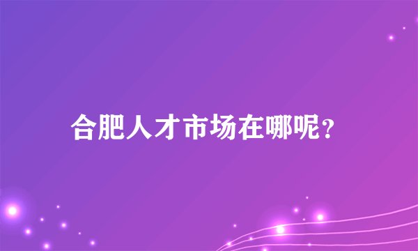 合肥人才市场在哪呢？