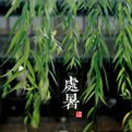 二十四节气分别是什么？