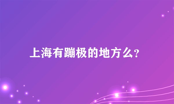 上海有蹦极的地方么?
