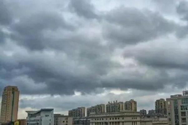 杜苏芮的意思和含义是什么