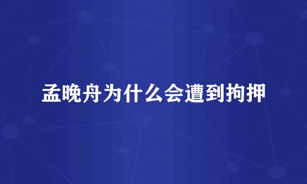 孟晚舟为什么会遭到拘押