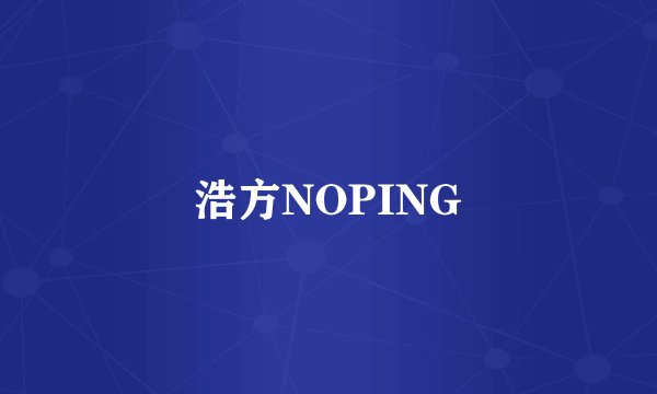 浩方NOPING