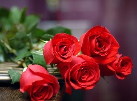 5朵玫瑰花代表什么意思?